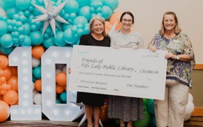 Friends of Fife Lake Public Library